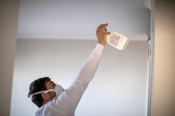 Best Commercial Mold Remediation in Bridgeton, MO