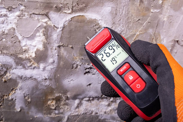 Trusted Bridgeton, MO Mold Remediation Experts